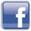 Small-sized facebook icon